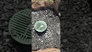 How To Eliminate Standing Water In Your Yard