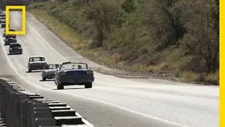 Musical Highway | Crowd Control