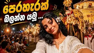 රන්දොලි මහා පෙරහැර 💃🪘🪗 ගල්බොක්ක #dance 