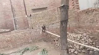 Meri Man ke ghar khubsurti z🥰🥰🥰🥰🥰🥰❤️❤️❤️❤️❤️