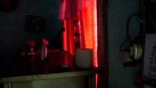 SDC12949