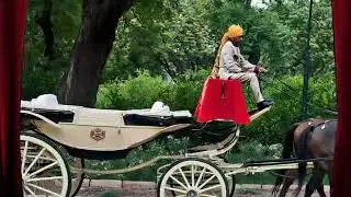 Bal Samand Lake Palace, Jodhpur,  Email : visit@fortsnpalaces.com, Call : 9815444488, 9988444488