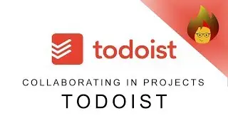 Collaborating Projects | TODOIST