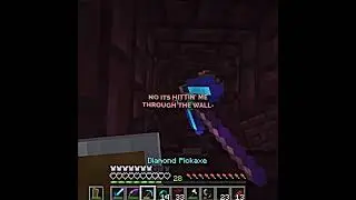 TechnoBlade almost dies from wither skeletons | 