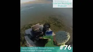 76. Valeria Vergara, PhD: Research Camping, Being Adaptable, and Beluga Whales