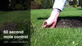 Yorkshire Mole Catcher