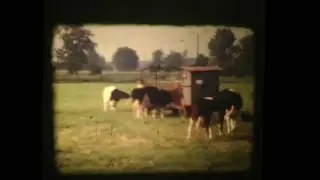 1972 Super 8 film, The Brokering Farm in Germany Drebber