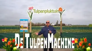 De tulpenmachine van de Floratuin. #tulpen #foryou #fun #julianadorp #tulpenbollen #tulips