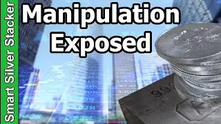 Silver Price CRASH - Shanghai Exposes Silver Manipulation (How To Win Against Banks)