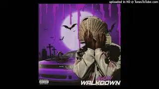 hard fto sett x babywalkdown type beat 'no melody'
