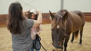 Lockwood Park: Equine Assisted Learning Demo