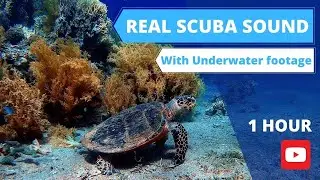 Underwater Bubble Sound | Real Scuba Breathing