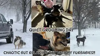 A CHAOTIC RELAXING DAY WITH MY FUR Babies🥰|| QUIET Grooming Session😌😌||REFRESHING TIME WITH THEM✨✨