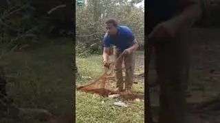 net fishing short video #fishing #amazing #amazingfish #gonefishing #amazingfishing #fishingmaster