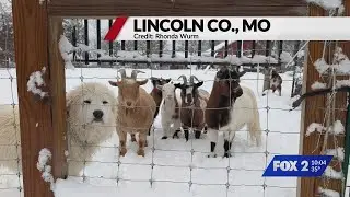 Recapping Saturday's snowfall around St. Louis