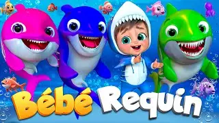 Nage avec Bébé Requin | Comptines Et Chansons | À Bébé Chanson @SuperLucaLEFrancais