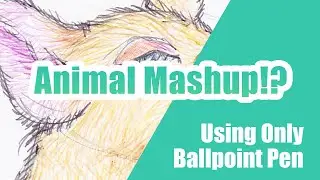 Animal Mashup! Ballpoint Pen Drawing Challenge