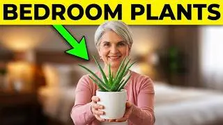  Best Plants for Your Bedroom: Sleep Better with These Air-Purifying Beauties