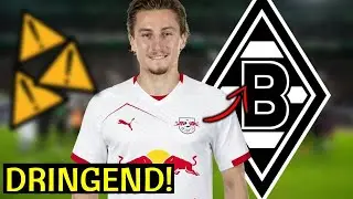 💥Bombe Nachrichten: hat alle &uuml;berrascht! Nachrichten Vom Die Fohlen - M'Gladbach