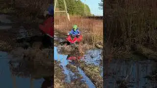 Детский квадр Cfmoto Cforce 110 грязь и лужи не помеха