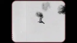 Little Bird (Animation Video)