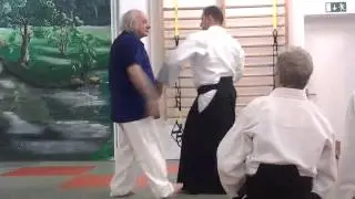 Ki no Nagare Aikido Peter Shapiro Sensei in Murten