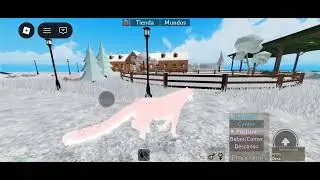 Showing the New leopard horse in horse world