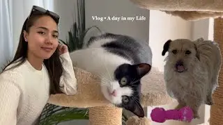 Homebody in Hungary | A day in my Life | Slow Living | Home Cooking | Stir Fry Pork with Brocolli