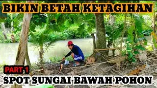 SPOT SUNGAI || Lokasi wringintelu mancing belut di bawah pohon sukun