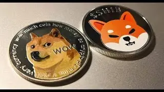 SHINJA/SHIBNOBI/SHIBAINU TO BE USED AS SALARY PAYMENT/NEW LISTING UNVEILING /SHIB TO THE MOON.
