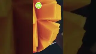 A mango fruit is one of my favorite fruit especially when ripe