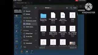 How to Make Windows 2000 BSOD videos on Virtual x86