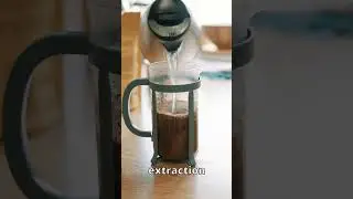 Top SECRET French Press Techniques ☕️ #frenchpress #barista #baristalife #coffeeshop