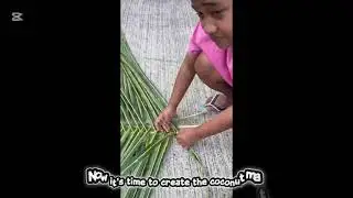 UU204 MATAI ASSIGNMENT. How to weave traditional mat from coconut leaves.
