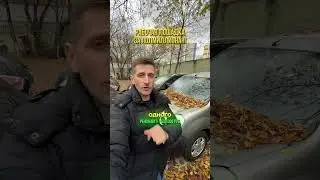Кангу уже заждался своего владельца!😅 Цена всего 530 000 ₽ Больше про авто в ТГ: SpeyanAuto