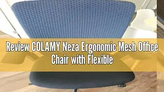 Review COLAMY Neza Ergonomic Mesh Office Chair with Flexible Backrest, Executive Desk Chair, Compute