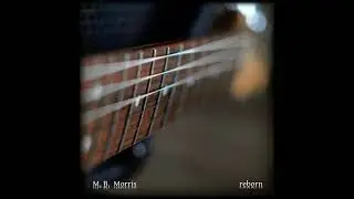 M.  B.  Morris -  The Storm