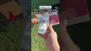Salt Shaker Trick for Perfect Seed Spread