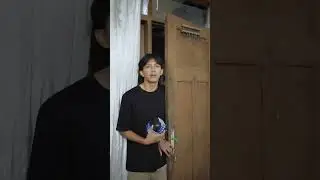 Drama paket COD