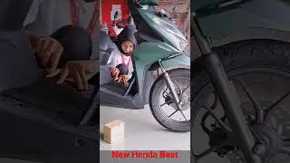 New Honda Beat #newhondabeat #hondabeat #hondabeatindonesia #hondabeat2022 #hondabeathijau #beatbaru