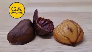 ✨️Maronen 🌰 4 Zubereitungsarten / Kurzanleitung✨️