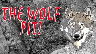 THE WOLF PIT!