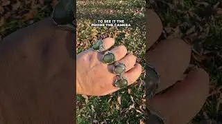 $62 RARE Gemstone - Labradorite Comes From Labrador Canada - 925 Sterling Silver Ring By Harlembling