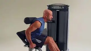 Разгибание спины MATRIX VERSA VS-S52H.