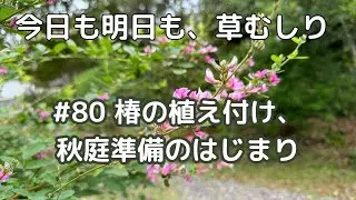 【#80 草と一緒に作る庭】ナチュラルガーデンに憧れて｜椿の植え付け｜田舎暮らし