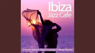 Capture the Sun (Ibiza Del Mar Mix)