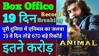 Animal Box Office Collection | Animal 18th Day Collection, Animal 19tH Day Collection, Ranbir Kapoor