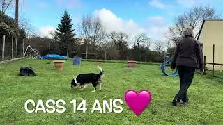 Séance de Détection Olfactive offerte*