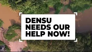 I am Densu &ndash; Please save me