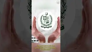 Education of Afghanistan Refugees in Pakistan| Fajer Rabia Pasha